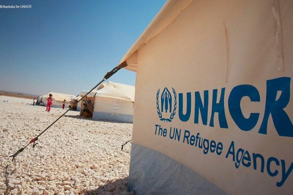 12M2 Mavi Afet Yardım Çadırı BM Mülteci Çadırı